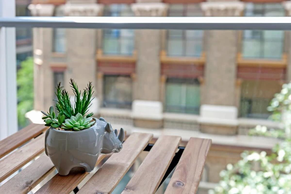 A Comfy & Modern Near Darling Harbour Apartment *
